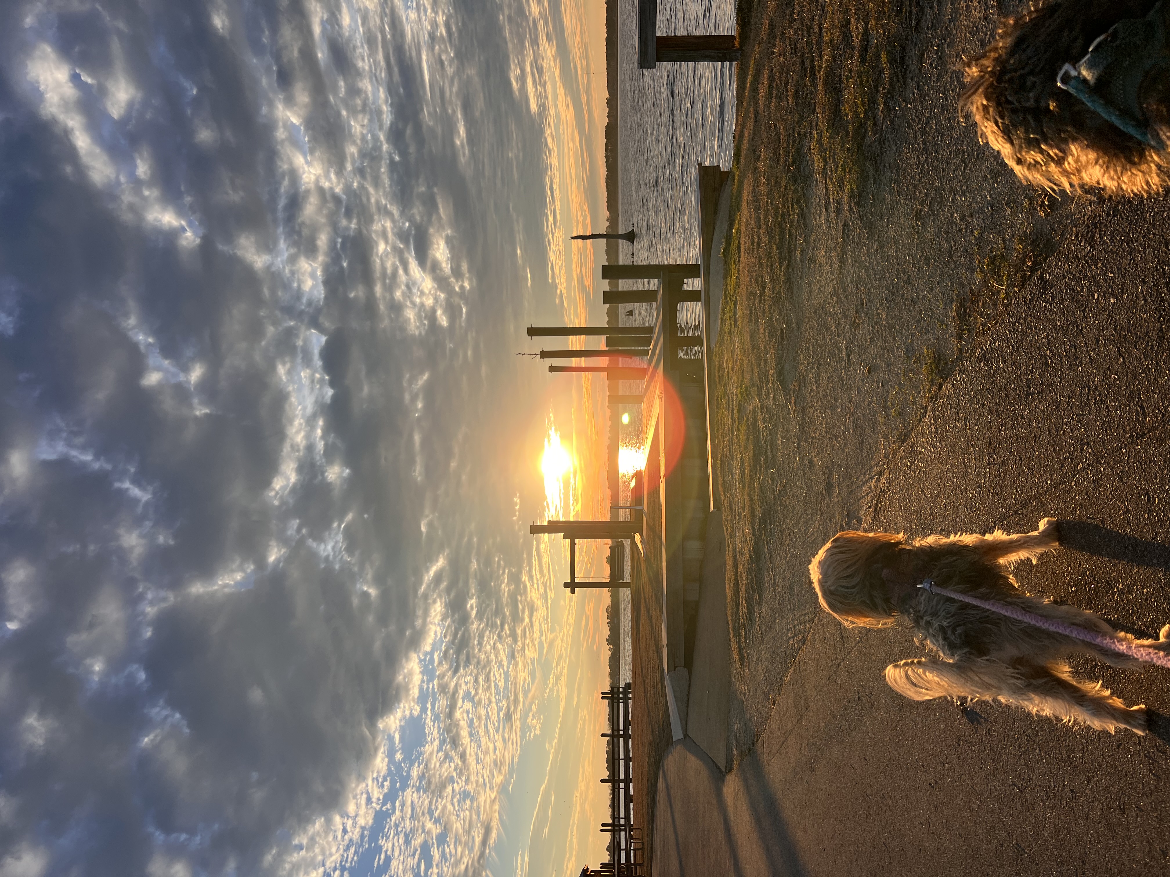 ./2023/01 - New Bern/IMG_6096.JPG